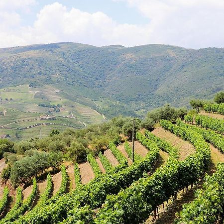 Ervedosa do DouroQuinta Do Monte Bravo - Douro - Quarto Duplo别墅 外观 照片
