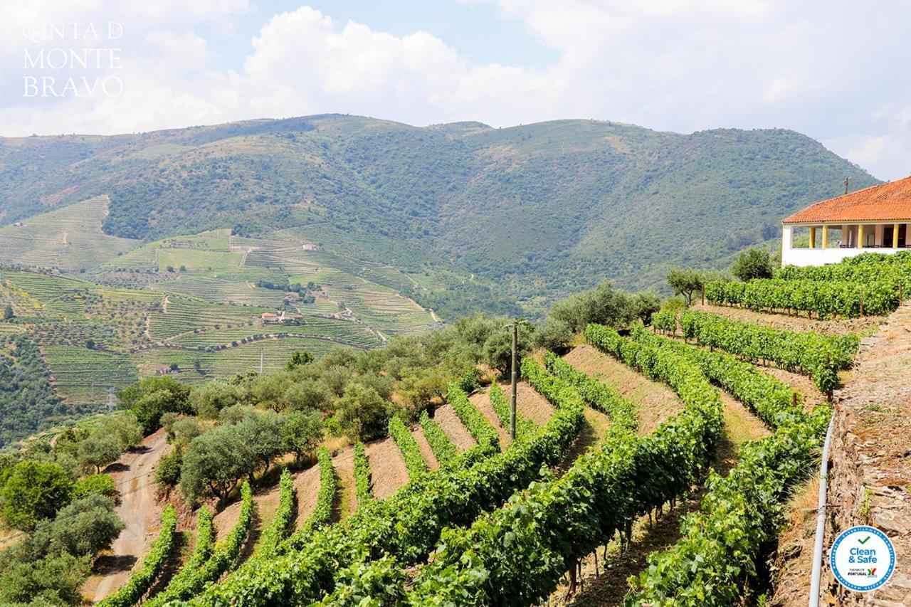 Ervedosa do DouroQuinta Do Monte Bravo - Douro - Quarto Duplo别墅 外观 照片