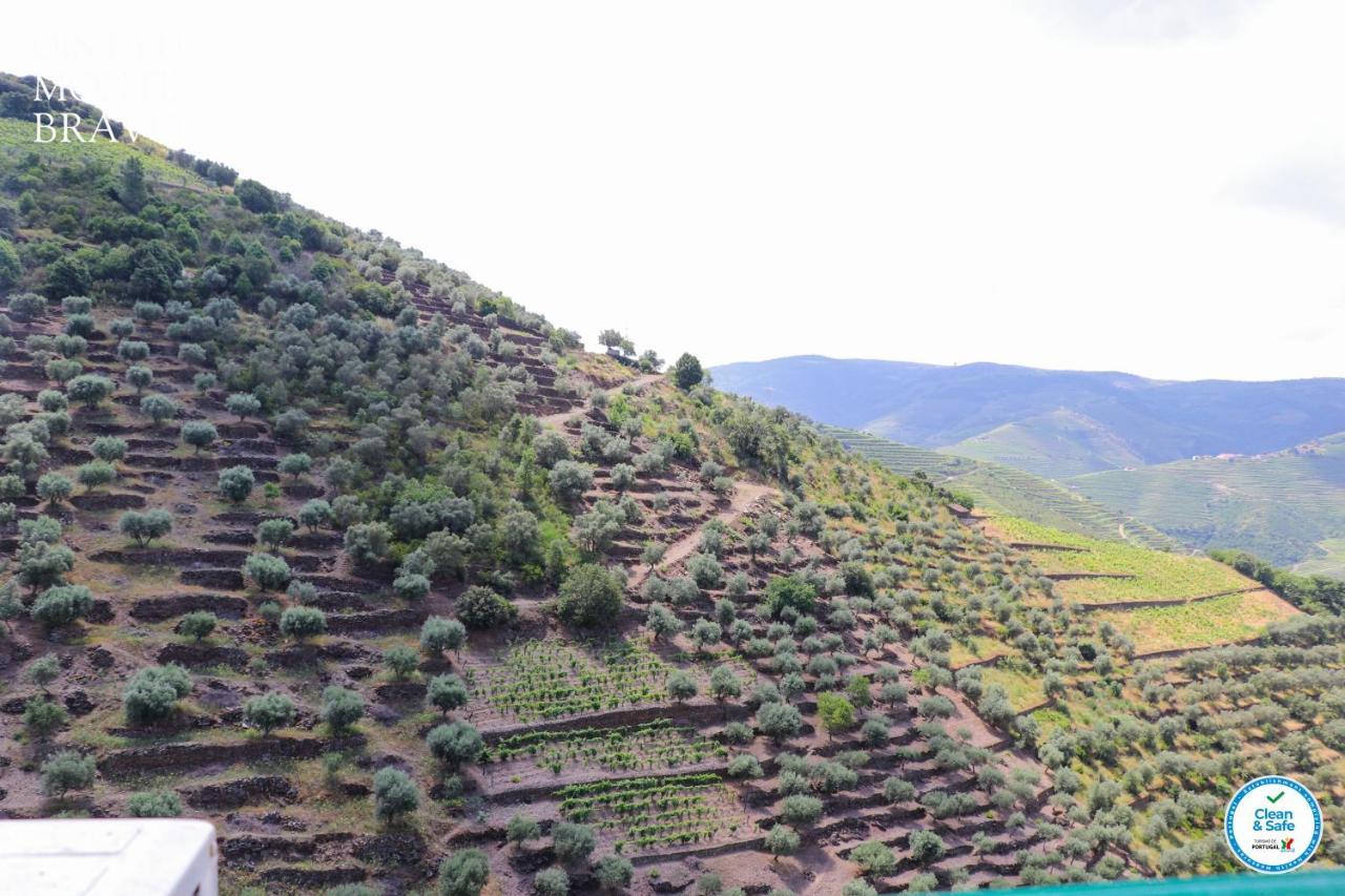 Ervedosa do DouroQuinta Do Monte Bravo - Douro - Quarto Duplo别墅 外观 照片