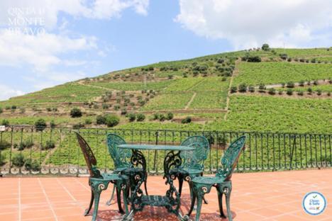 Ervedosa do DouroQuinta Do Monte Bravo - Douro - Quarto Duplo别墅 外观 照片