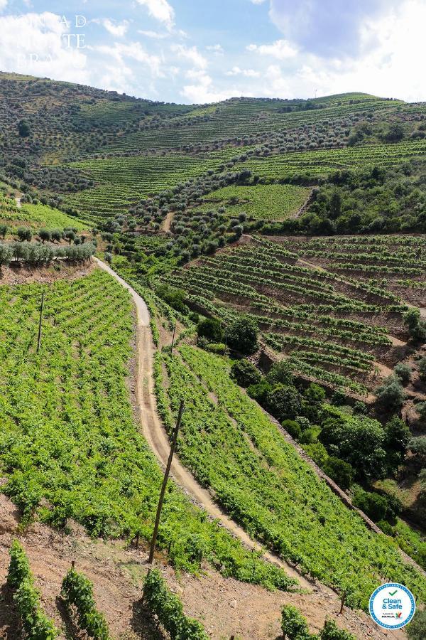 Ervedosa do DouroQuinta Do Monte Bravo - Douro - Quarto Duplo别墅 外观 照片